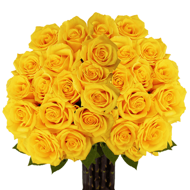 Yellow Rose Flower Bouquet Picture | Best Flower Site