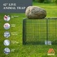 thumbnail image 2 of Homestead 42'' Live Animal Trap, Steel Cage for Humane Catch & Release, Quick Set Trigger, 2 of 9