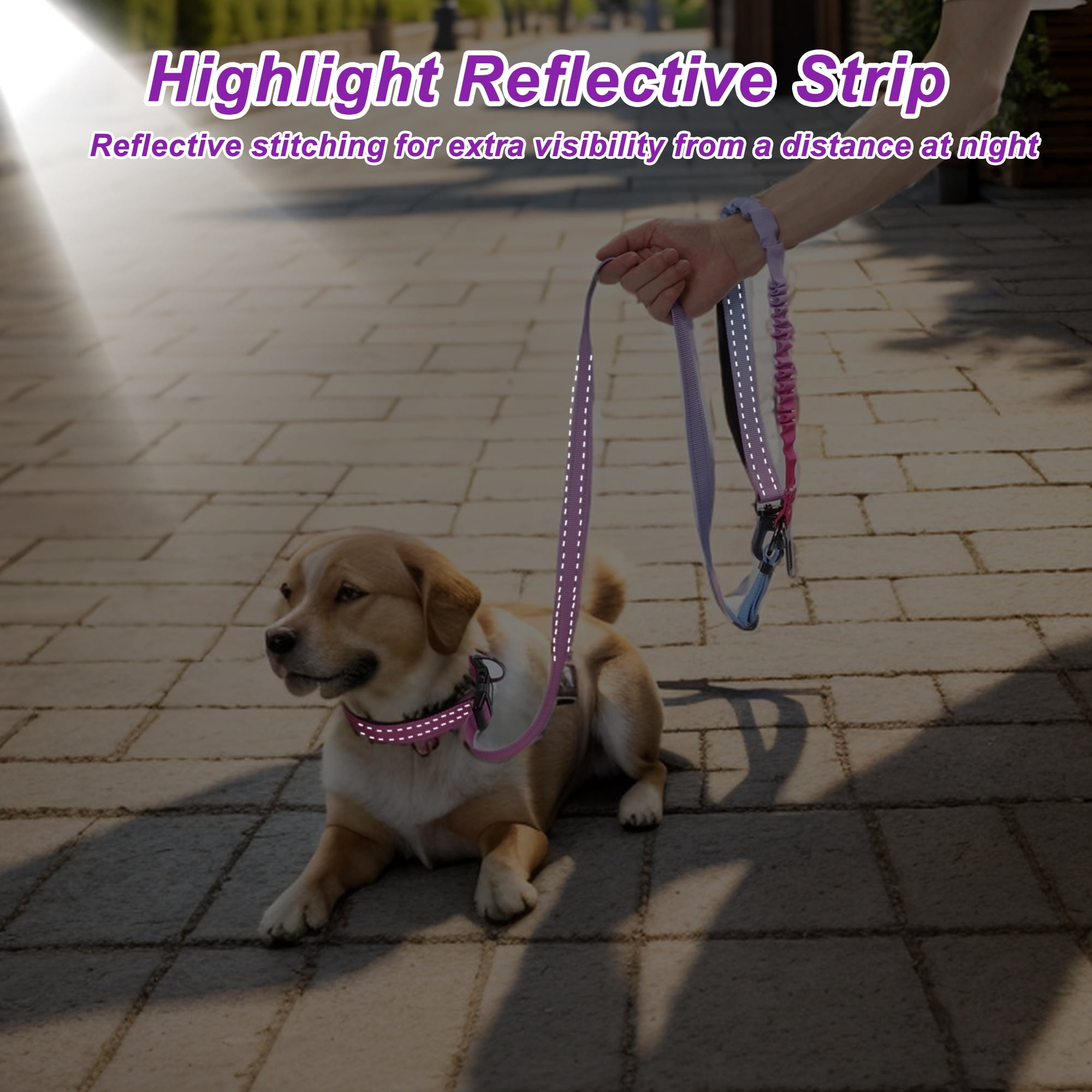 Unique Bargains Hands Free Dog Leash No Pull Bungee Dog Leash for One Large Dog Up to 440 Ib W/ Car Seatbelt Rose Red