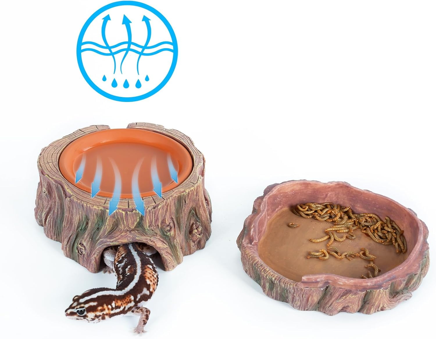 Xwl 3 in 1 Reptile Hide Cave with Detachable Base & Humidity Dish, Essential Tank Terrarium Decor Humid Hideout Accessories for Small Reptiles Crested Gecko, Leopard Gecko, Lizard, Snake, Crabs