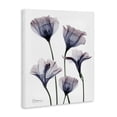 thumbnail image 2 of Stupell Industries Modern Subtle Fresh Flowers Canvas Art, 16 x 20, by Albert Koetsier, 2 of 7