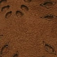 thumbnail image 4 of CARLOS BY CARLOS SANTANA Womens Brown Cut Out Elastic Goring Heel Pull Tab Cushioned Stretch Victory Pointed Toe Block Heel Zip-Up Booties 11 M, 4 of 4