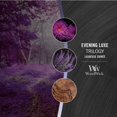thumbnail image 4 of WoodWick Evening Luxe Scented Ellipse Candle, Crackles at it Burns, Up to 50 hrs Burn time, 16oz, 4 of 5