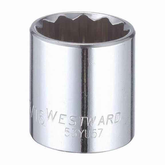 Westward 1/2 in Drive, 1-3/16" Torx(R) SAE Socket, 12 Points 53YU57