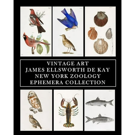 Vintage Art: James Ellsworth De Kay: New York Zoology: Ephemera Collection, (Paperback)
