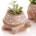 thumbnail image 3 of Mini Terracotta Fish Frog Turtle Pot Set, 3 of 4