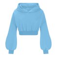 thumbnail image 5 of Penkiiy Women's Ear Hoodie Pullover Long Sleeve Hooded Sweatshirt Cute Dark Gothic Style Blouse Cute Crop Top Hoodies Sweatshirt 4XL Light Blue, 5 of 5