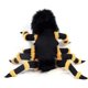 thumbnail image 4 of Disfraces de araña para perros y gatos, vestido de cosplay de Halloween para mascotas, disfraz de araña divertido para perros_ kaili Sencillez, 4 of 5
