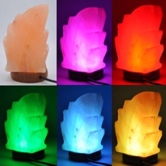 USB Himalayan Salt Leaf Shape Lamp, USB Salt Lamp, Color Changing Lamp, LED Lamp, Wood Base, Handmade, No Installation Required, 1 - 2 lbs