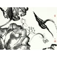 thumbnail image 2 of Rae, Nan 24x19 Black Ornate Wood Framed with Double Matting Museum Art Print Titled - Lotus Study II, 2 of 4
