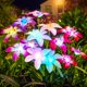 thumbnail image 1 of Luces solares para jardín WDTPro, paquete de 8 unidades, 32 lirios en flor, RGB, 1 of 7