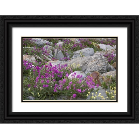 Paulson, Don 32x23 Black Ornate Wood Framed with Double Matting Museum Art Print Titled - AK, Alsek-Tatshenshini Rock garden and flowers
