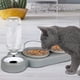 thumbnail image 4 of Juego de cuencos elevados para gatos, cuenco doble antivómitos, cuenco inclinado para gatitos, húmedo, 4 of 5