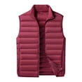 thumbnail image 5 of FRSASU Men's Lightweight Puffer Vest Outerwear Warm thermal Sleeveless Full Zip Up Stand Collar Puffy Jacket Wine, 5 of 6