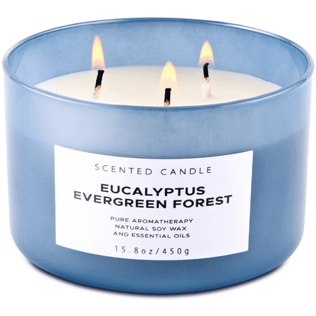 Eucalyptus Evergreen Forest Scented Candle 3 Wick Aromatherapy Candle Long Lasting and Clean Burning Soy Candle for Men and Women Relaxing Candle for Home Scented
