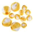thumbnail image 1 of Muyoka 12 piezas de removedor de pelo para mascotas para la colada, de nailon, para mascotas, reutilizable, para mascotas, gatos, perros, recogedor de pelo, recogedor de ropa para mascotas, no tóxico, Muyoka Hogar, 1 of 7
