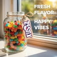 thumbnail image 2 of Zestix Jelly Beans, 1 lb Assorted Flavors, Soft Chewy Jelly Candy for Candy Bowls, Parties, Snacks & Bulk Treats, 2 of 7