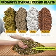 thumbnail image 2 of DUSPRO Orchid Potting Mix for Repotting with Forest Moss, Pine Bark, Perlite & Pumice Natural Ingredients, Orchid Bark Potting Mix, Orchid Repotting Kit Drainage Indoor Potting Medium 2QT, 2 of 7