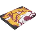 thumbnail image 6 of Bethune-Cookman A University Fleece Blanket, Very Soft Microfiber Flannel Blanket for Couch Warm and Cozy for All Seasons, 6 of 6