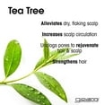 thumbnail image 6 of GIOVANNI Tea Tree Triple Treat Invigorating Shampoo Conditioner Set 8 5 oz Cooling Peppermint Conditioning Rosemary Eucalyptus Helps Dry Flaking Scalp Sulfate Free Paraben Free Pack of 1, 6 of 7