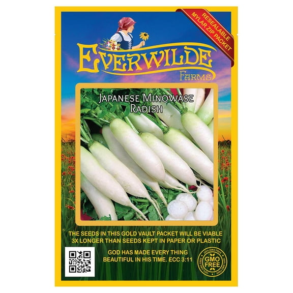 Everwilde Farms - 500 Japanese Minowase Radish Seeds - Gold Vault Jumbo Bulk Seed Packet