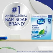 Dial Antibacterial Bar Soap, Refresh & Renew Spring Water Deodorant Bar, 4 oz (12 Bars)