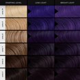 thumbnail image 4 of Tinte de pelo XMONDO Blue + Purple Shade Shift 240 ml, vegano, 4 of 6