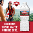 thumbnail image 4 of Arrowhead Mountain Spring Water, 16.9 fl oz, 12-pack Plastic Bottles, 4 of 8