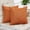 Orange, variant on Fall Pillow Covers 18x18 Inch for Fall Decor Set of 2 Burnt Orange Rustic Linen Decorative Square Throw Pillow Covers Cushion Case for Sofa Couch Farmhouse Home Decorations