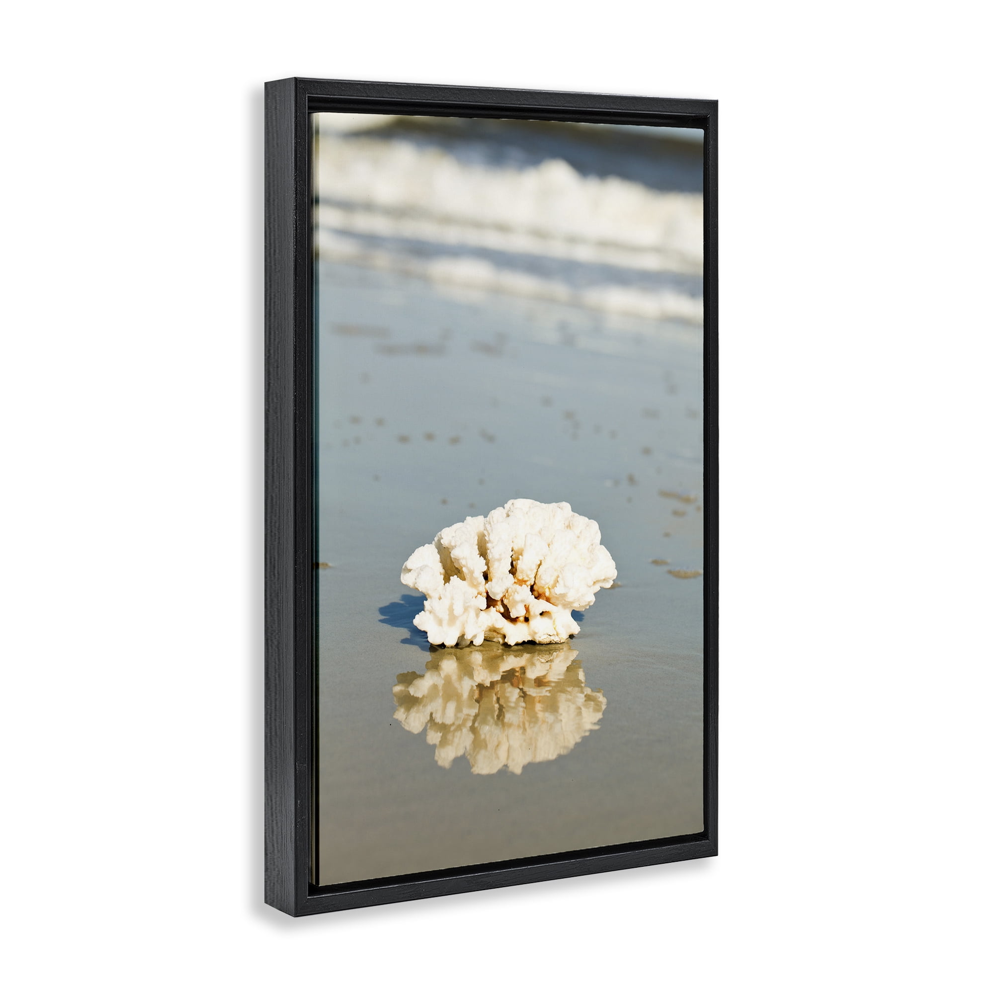 Stupell Industries Coral on Sea Shore Coastal Photography Black Floater Framed Canvas Art Print Wall Art, 17 x 25