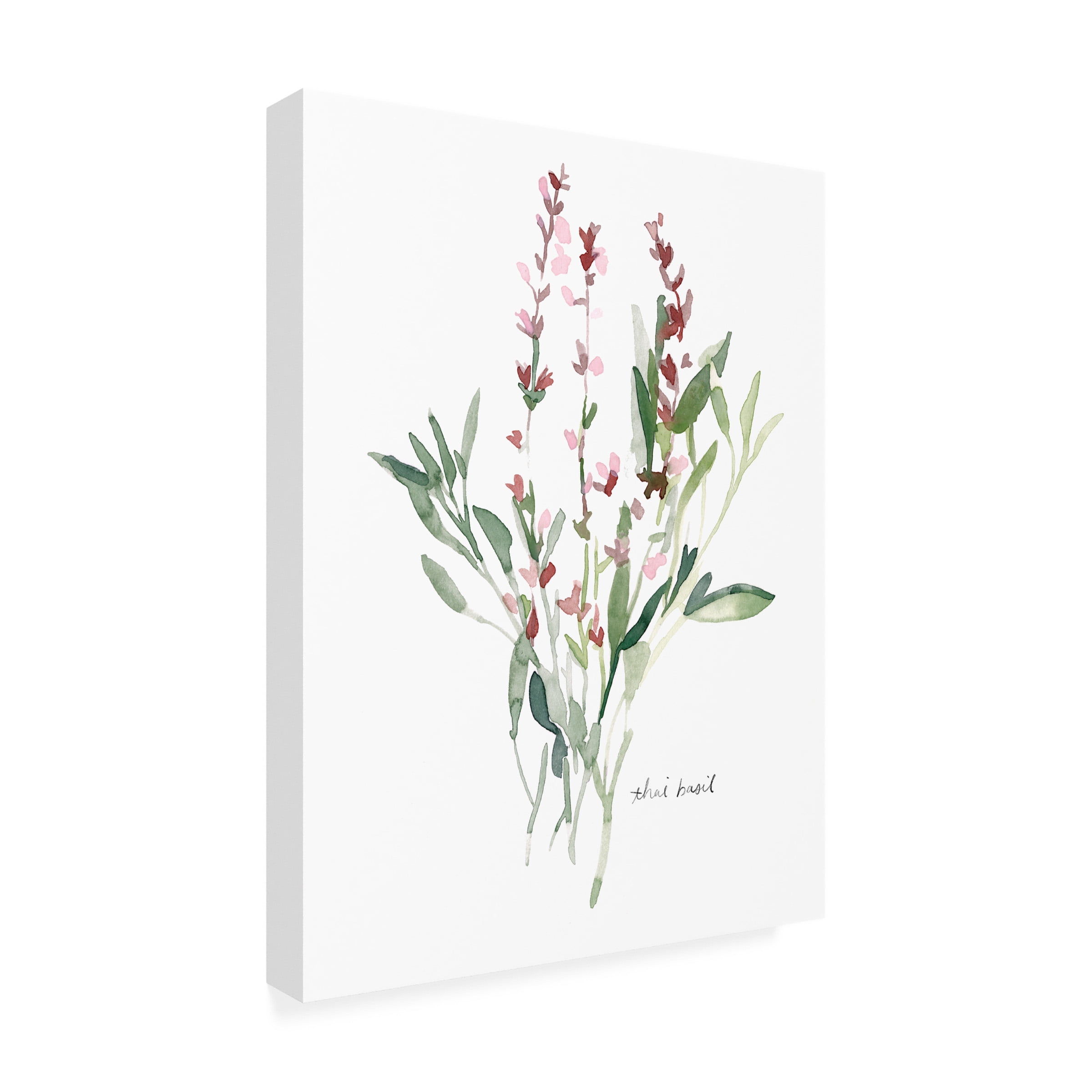Emma Scarvey 'Herb Garden Sketches V' Canvas Art