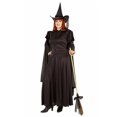 thumbnail image 1 of Dark Classic Witch Plus Women's Costume, 1 of 1