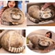 thumbnail image 2 of Steppe Cat Pillow,18' Pallas Cat Plush Pillow, Cute Steppe Cat Stuffed Animals Soft Plushies, Kitten Plush Throw Pillow Doll Big Plush Toys Gift for, 2 of 4
