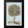 thumbnail image 2 of Vision Studio 11x14 Black Modern Framed Museum Art Print Titled - Antique Tree in Sepia I, 2 of 5