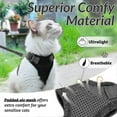 thumbnail image 4 of Cat Harness And Leash For Walking, Escape Proof Soft Adjustable Vest Harnesses For Cats, Easy Control Breathable Jacket, Black, Xs YIJIA, 4 of 4