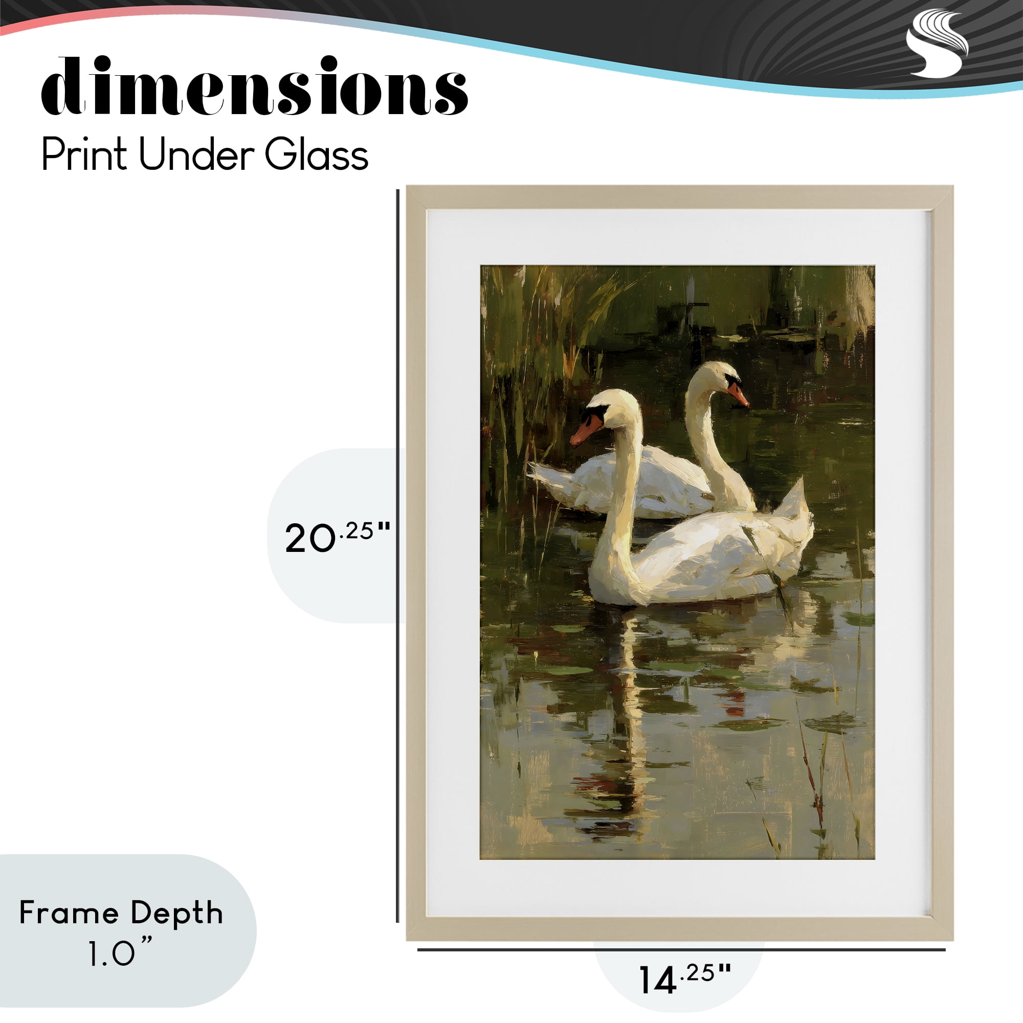 Stupell Industries Swans For A Swim Birch Framed Print Under Glass, design by Petal Prints Design