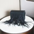 thumbnail image 4 of Bolso bandolera de mujer, bolso con caja de plumas de avestruz a juego, bolso de mano de noche para mujer, 4 of 5