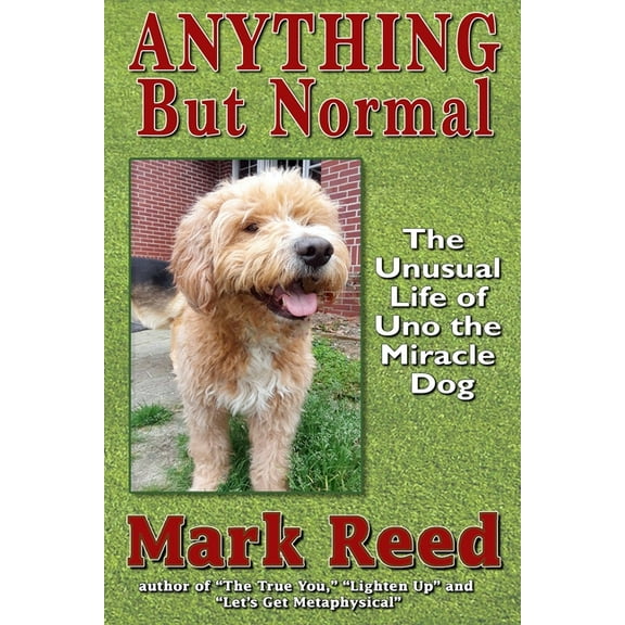 Anything But Normal : The Unusual Life of Uno the Miracle Dog (Paperback)