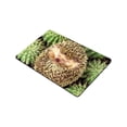 thumbnail image 2 of RYLABLUE Tapis de Sol Hérisson Intérieur Extérieur 30x18 Pouces, 2 of 2