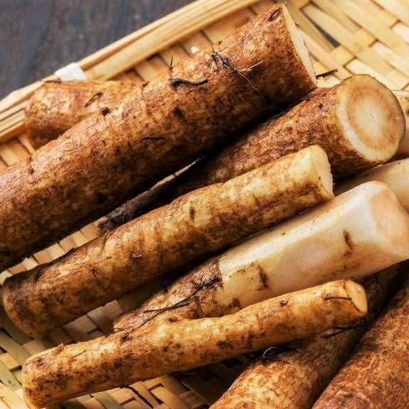 TomorrowSeeds - Burdock Seeds - 50  Count - For 2025 Planting Articum Lappa Kinpira Gobo Ngao Pong