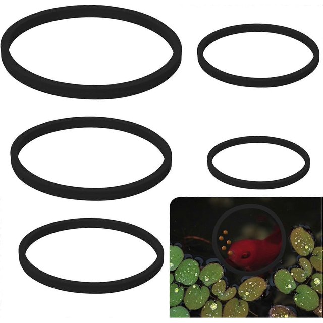 anillos flotantes de espuma para plantas de acuario, anillos de alimentación para peces, color canela.
