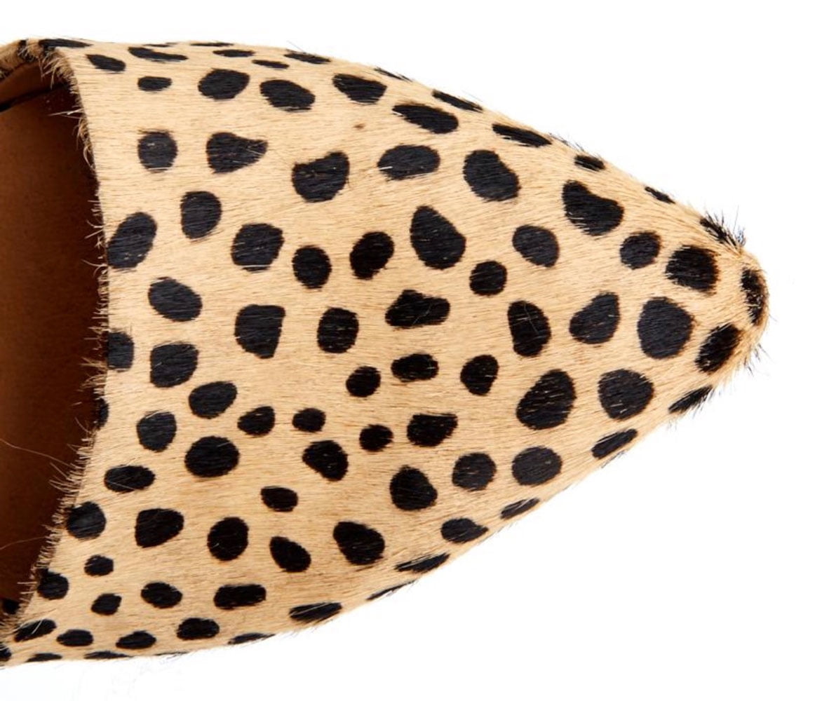 matisse berlin cheetah