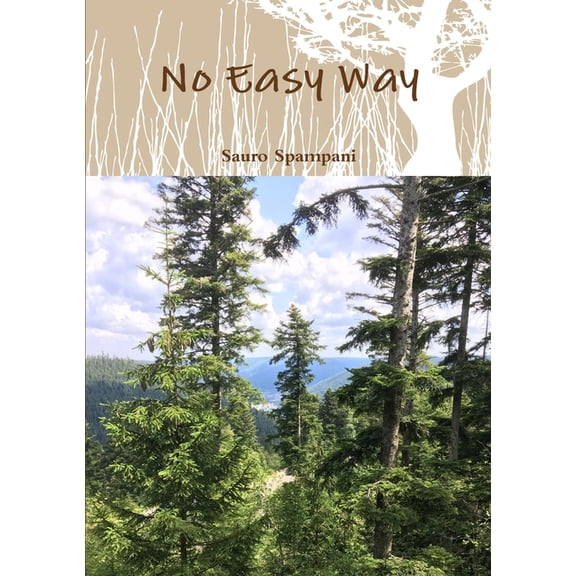 No Easy Way (Paperback)