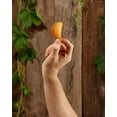 thumbnail image 2 of Pringles Grab and Go Potato Crisps 2.25 oz, 2 of 9