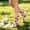 #03-Pink, variant on Women's 100% Cotton Straight Ankle Crew Socks, Breathable Stretchy Relaxed Fit Printed Lightweight Fashion Casual Footwear for Daily Wear Pink