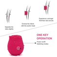 thumbnail image 4 of New Gifts Rose Virbrater for Women Waterproof Toy Wrapping PaperRed 2023, 4 of 7