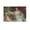 Unframe-style, variant on Posters for Room Aesthetic Conrad Kiesel Art Stuff Poster Decorative Painting Canvas Wall Art Living Room Posters Bedroom Painting 24x36inch(60x90cm)