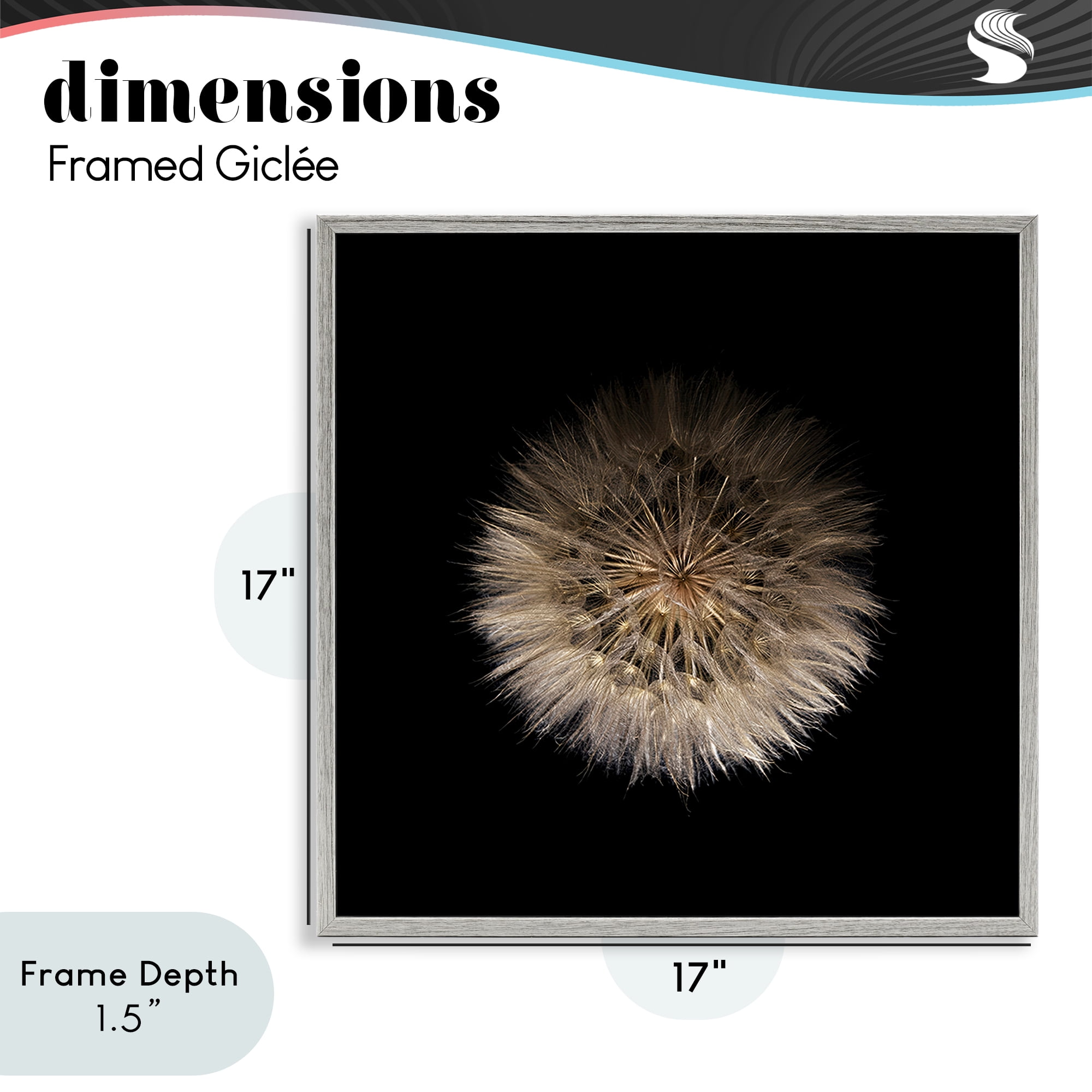 Stupell Industries Wispy Dandelion on Black Gray Framed Giclee Art, design by Beth Adoette