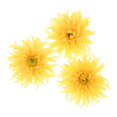 thumbnail image 1 of 3x Flor Horquilla Pinza de cabellero Nupcial Boda Playa Accesorios para El Cabello - Amarillo, Individual Macarena flor de la playa del verano, 1 of 7