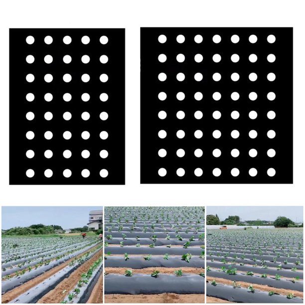 Toile Anti-mauvaises Herbes Pour Allées De Jardin Et Aménagement